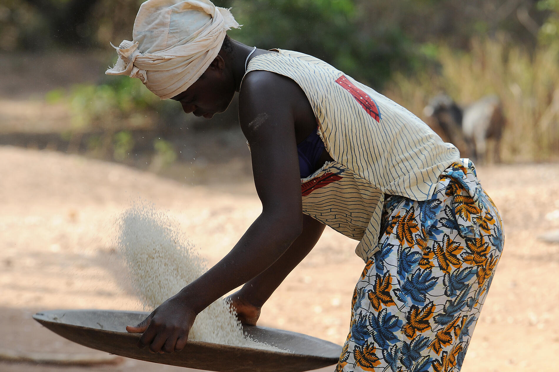 No-1220_A190313_Ile Carache_Village-D-ampincha©StudioPONANT-Nathalie-Michel.JPG