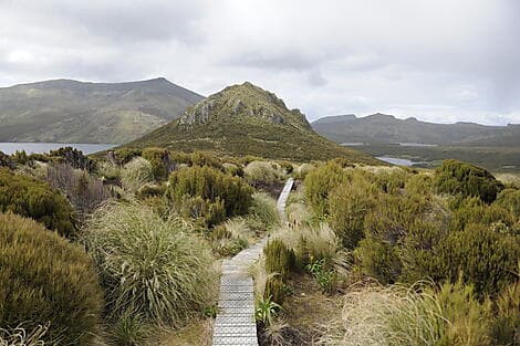 22. Jan 26 - Campbell Island