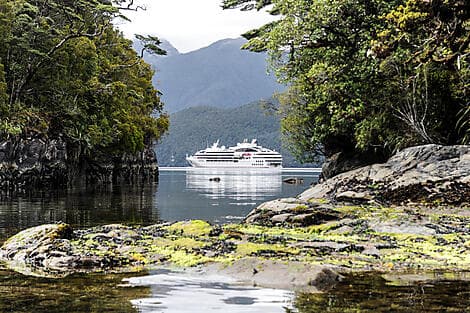 14. Jan 26 - Dusky Sound