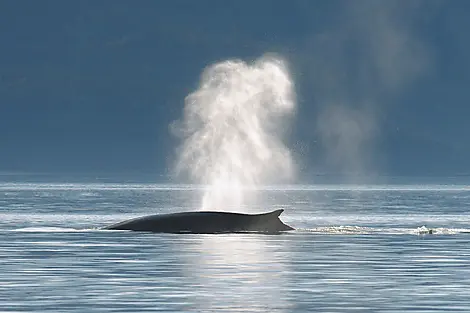 9. Aug 27 - Kreuzen auf dem Sankt-Lorenz-Strom und Fahrt durch seine Schleusen