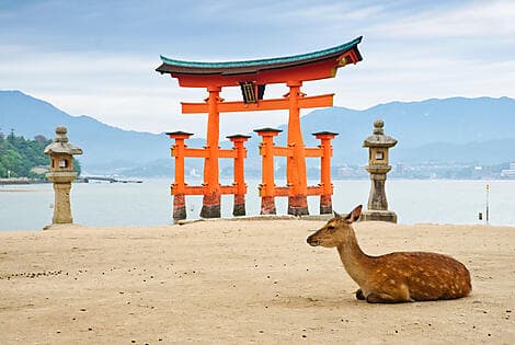 13. Mai 26 - Insel Miyajima