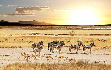 18. Dez 26 > 19. Dez 26 - Richards Bay