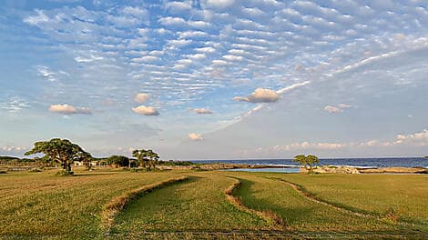 8. Mär 26 - Kikaijima