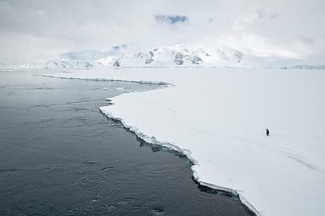 9. Dez 25 - The Gullet