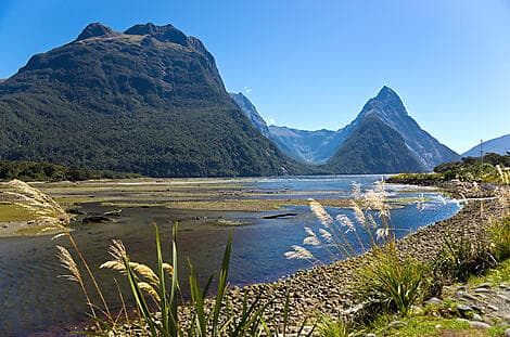 15. Jan 26 - Milford Sound
