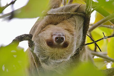 8. Dez 26 - Puntarenas