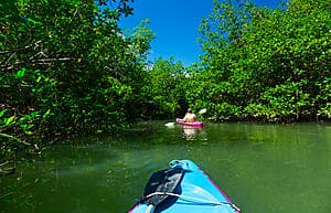 River kayaking & nature walk