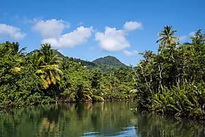 Indian River by rowboat