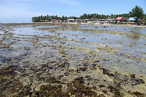 6. Jun 27 - Pulau Nias, Grosse Sundainseln