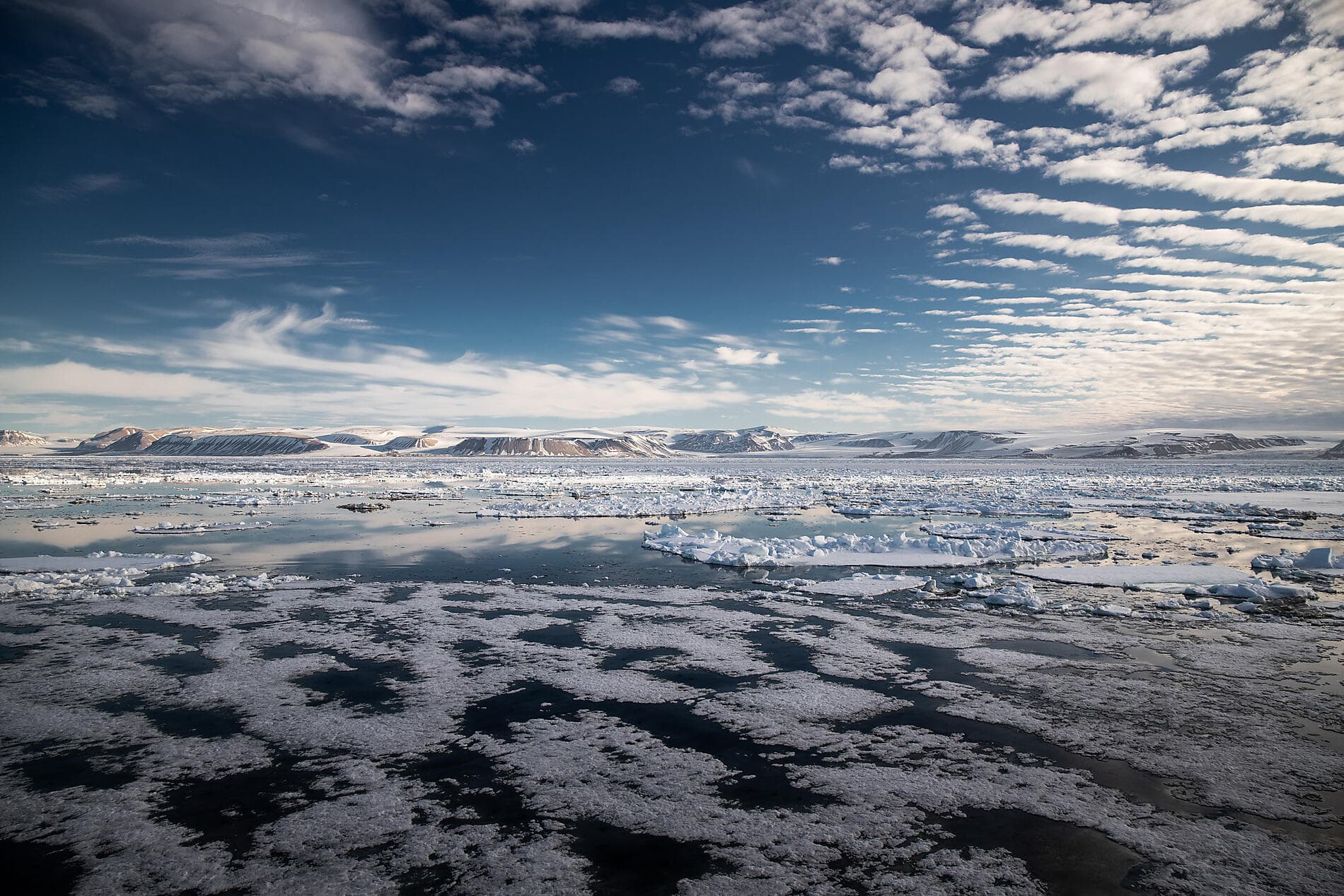  Im arktischen Eis von Grönland nach Spitzbergen ©morgane_Monneret/StudioPONANT