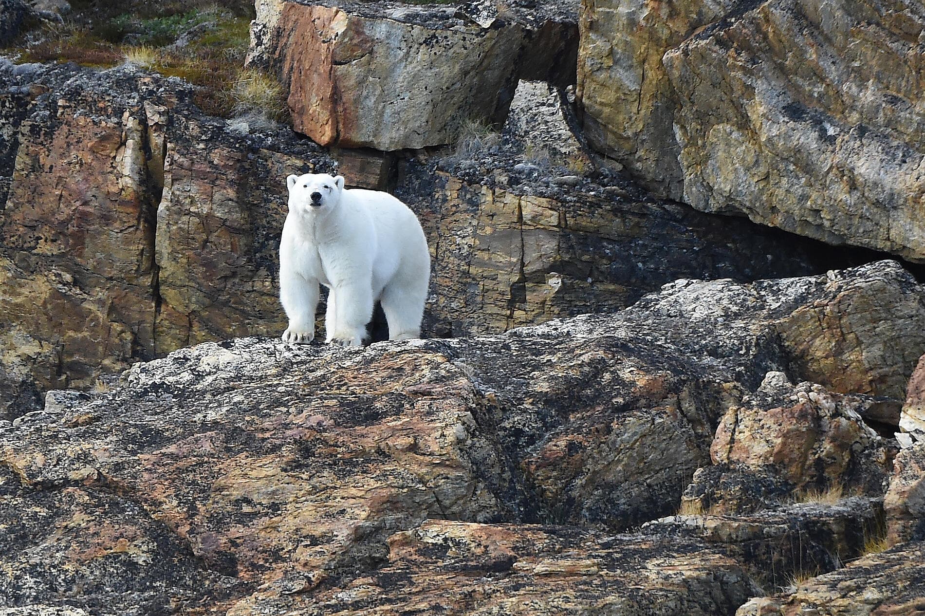 Geheimnisse des Baffinmeers