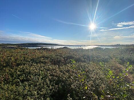 29. Sep 27 - La Romaine