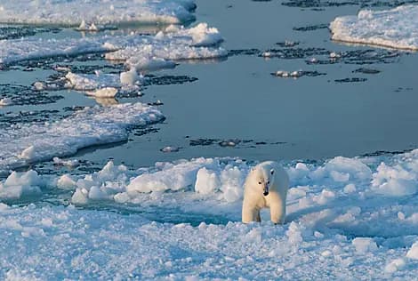 8. Sep 27 > 7. Sep 27 - Coningham Bay, Nunavut