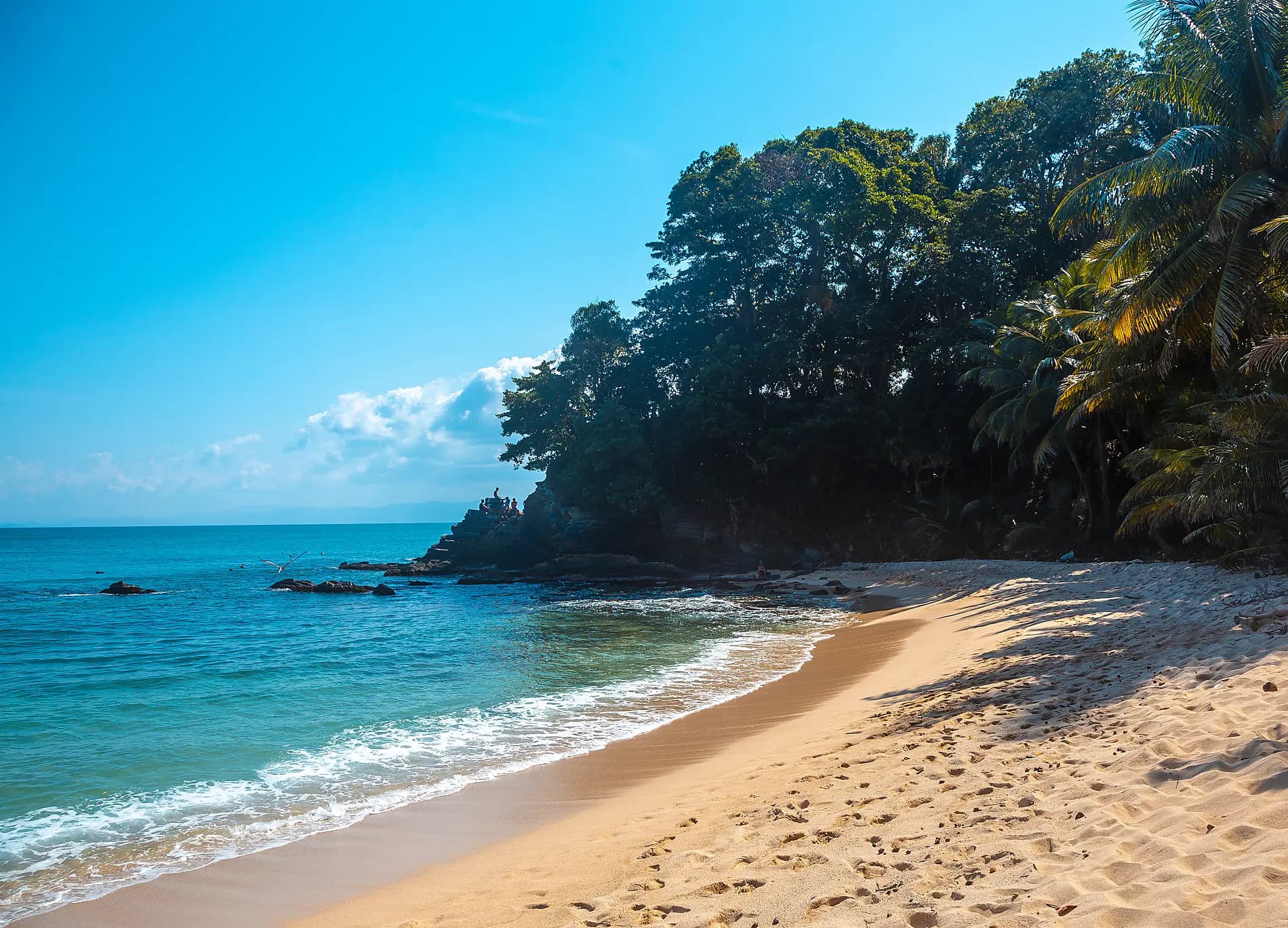 Naturschutzgebiete und Begegnungen in der Karibik