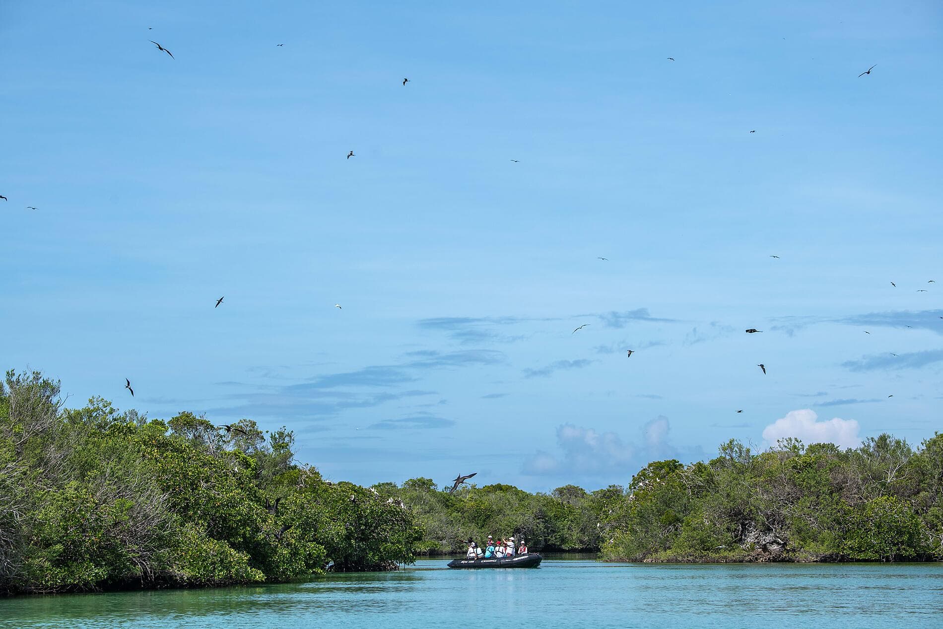 Sansibar, Aldabra und Schätze des Indischen Ozeans 