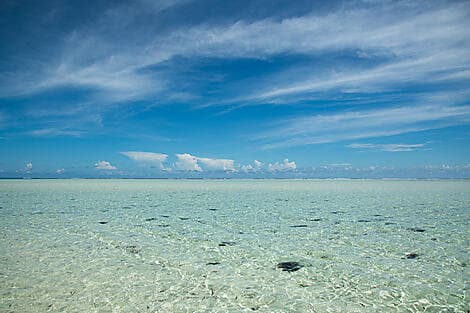 4. Feb 26 - Saint-François-Atolls