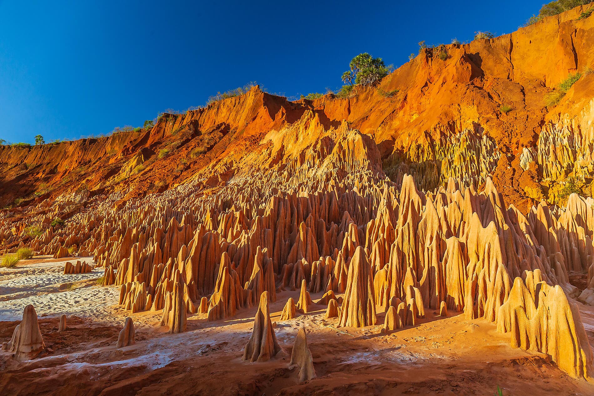 Madagaskar und die Seychellen: Naturschätze des Indischen Ozeans – mit Smithsonian Journeys 