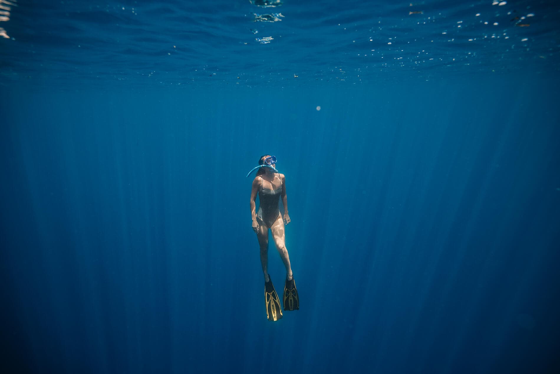 Madagaskar und die Seychellen: Naturschätze des Indischen Ozeans – mit Smithsonian Journeys 