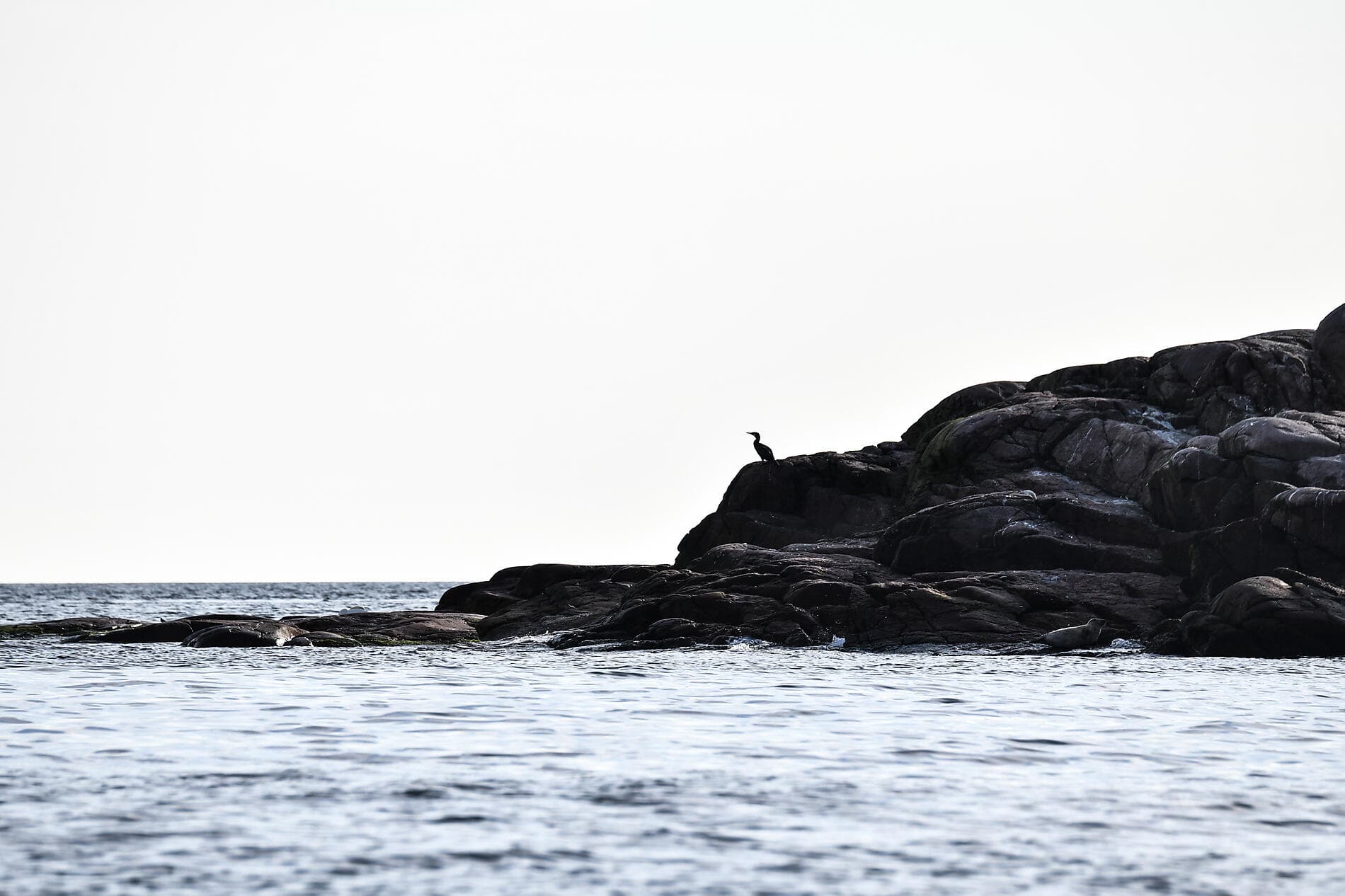 Jazzfestival, von der Ostsee bis zur Nordsee 