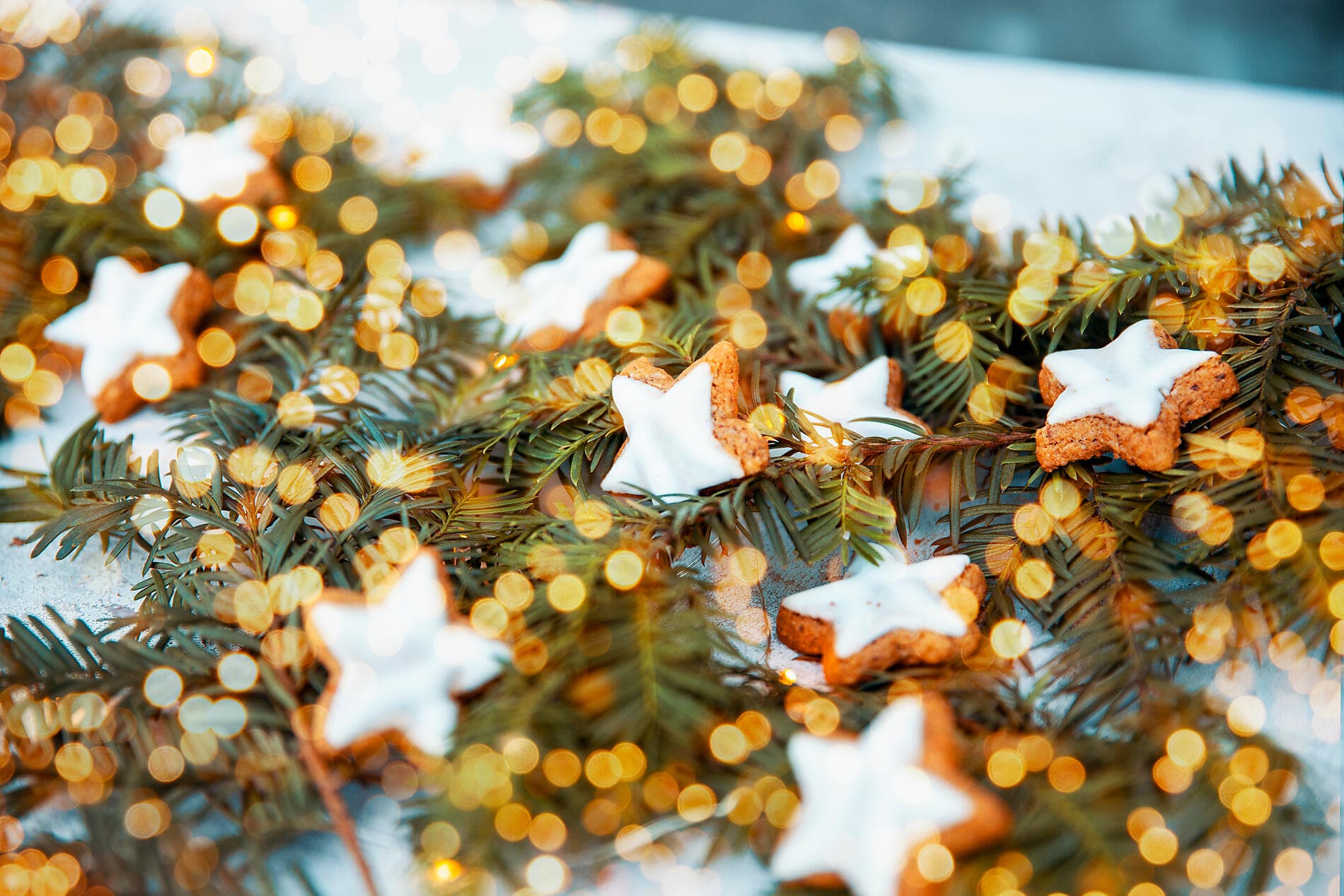 Abenteuer Bottnischer Meerbusen, Kurs gen Norden 