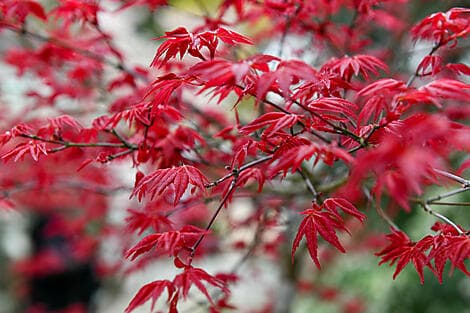 2. Apr 27 - Itozaki