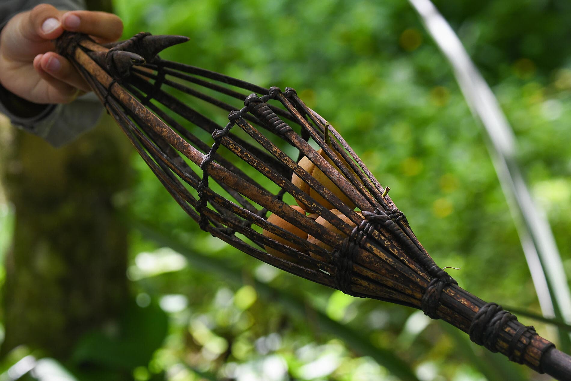 Raja Ampat und die Gewürzinseln 