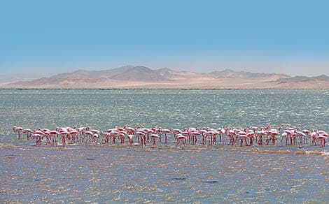 29. Mär 26 - Walvis Bay