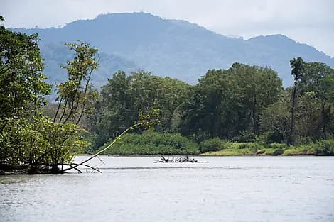 6. Dez 26 - Playa Mantas