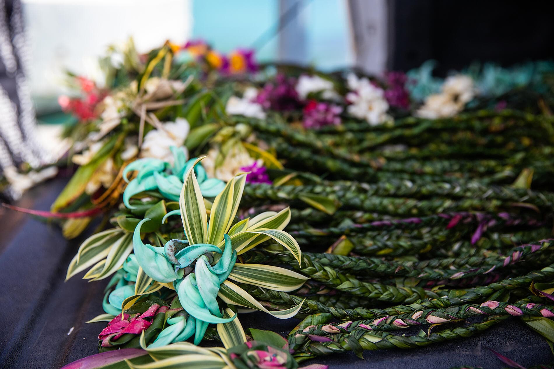 Unentdeckte Südsee: Gesellschaftsinseln und Austral-Inseln 