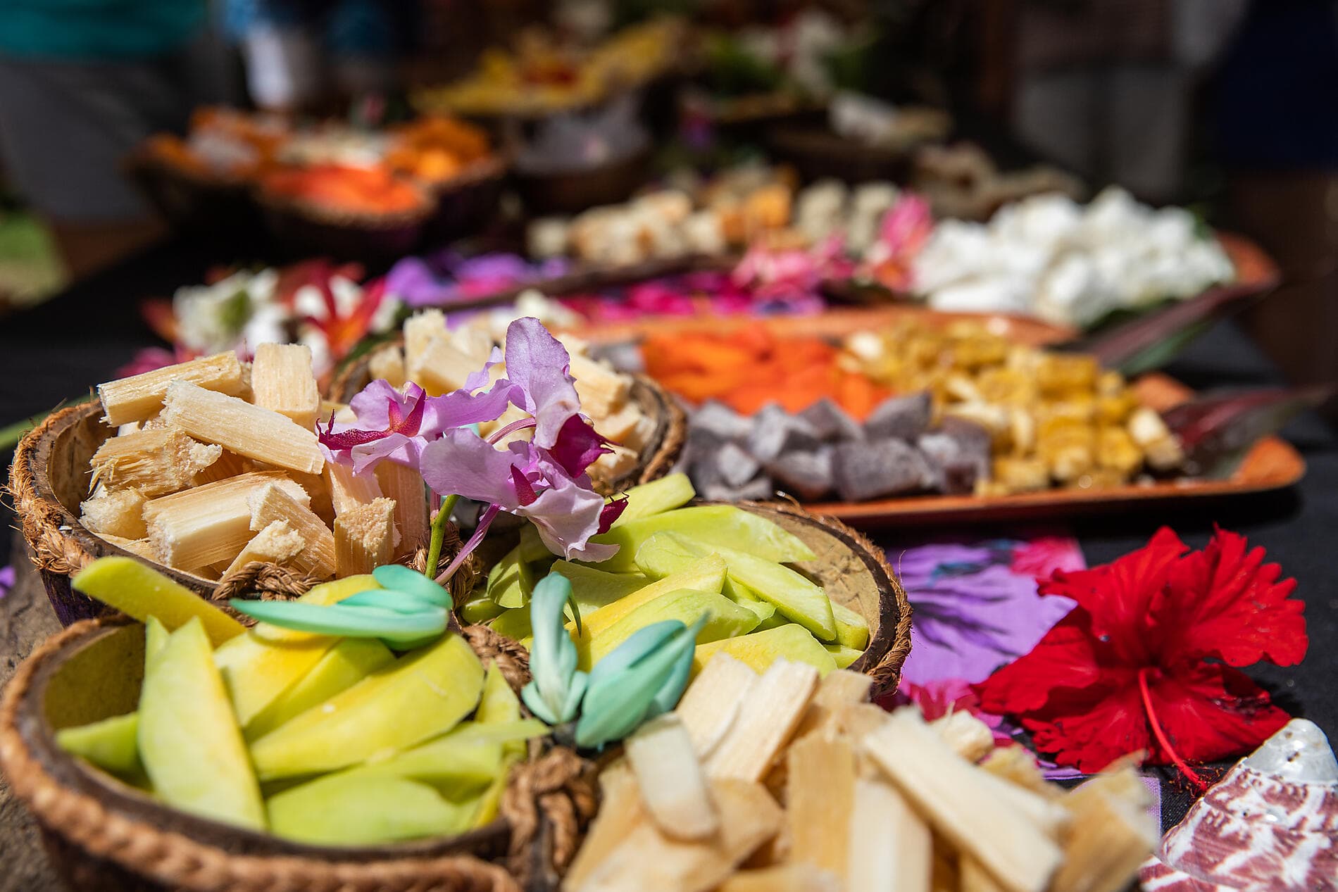 Unentdeckte Südsee: Gesellschaftsinseln und Austral-Inseln 