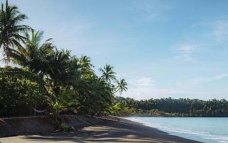 7. Dez 26 - Isla de Cedros