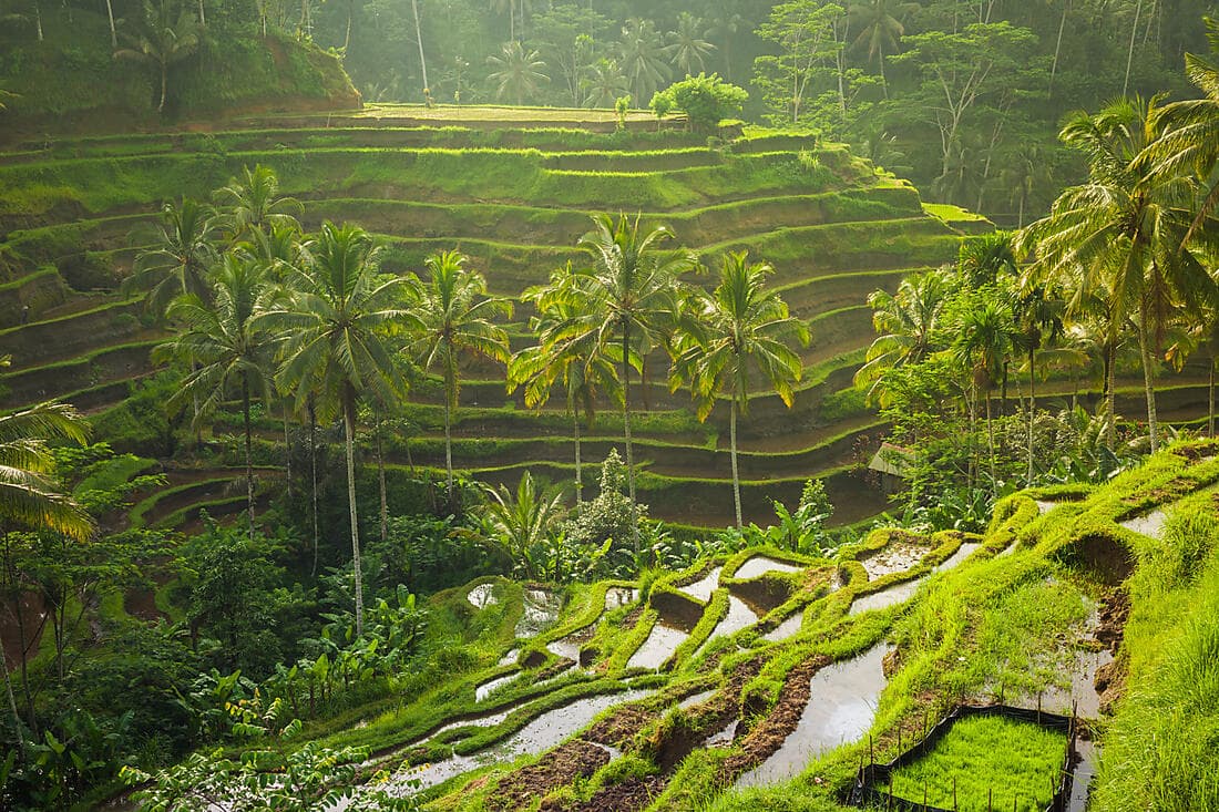 Balinese heritage (3 nights)