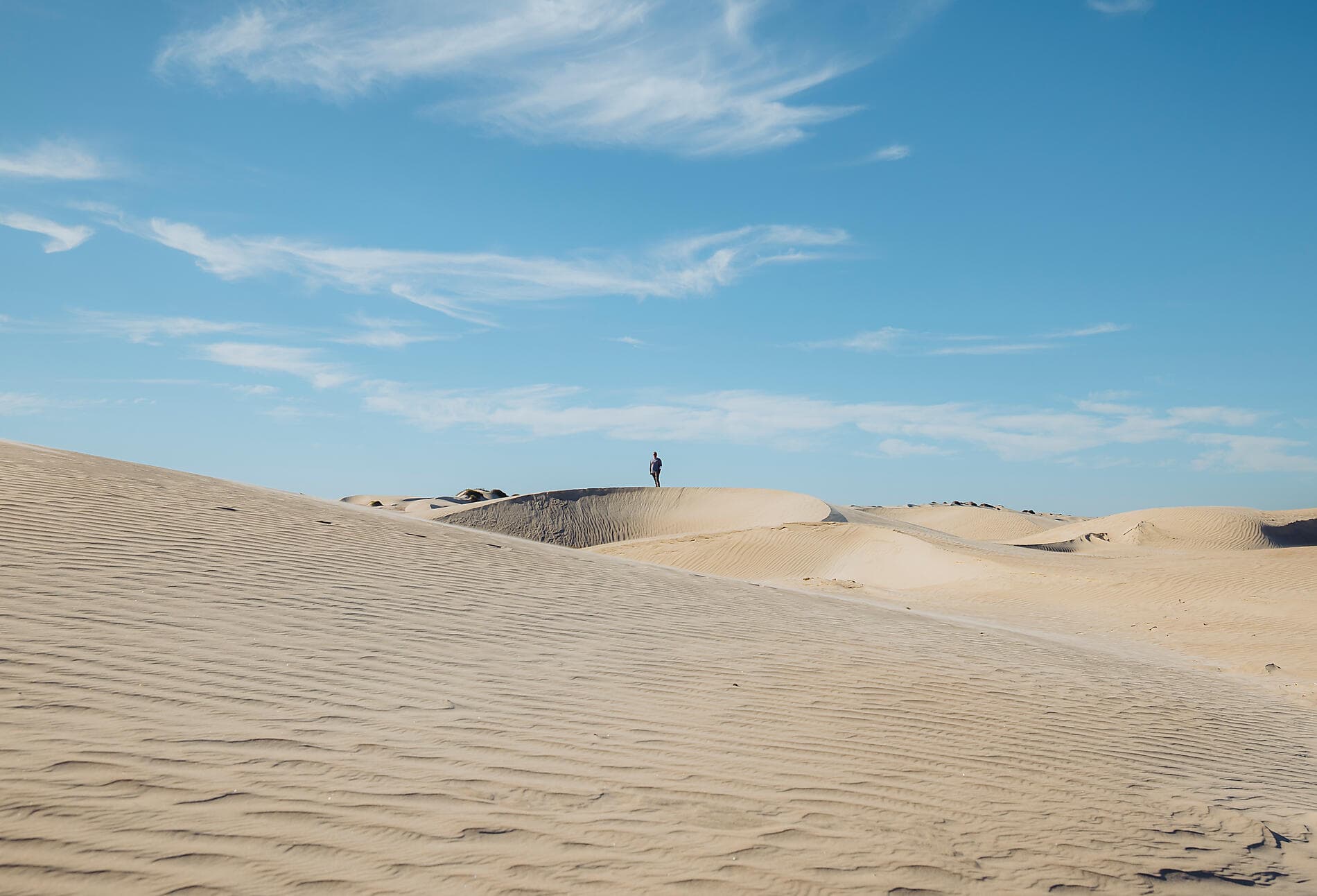 Erkundung im Herzen der Baja California 