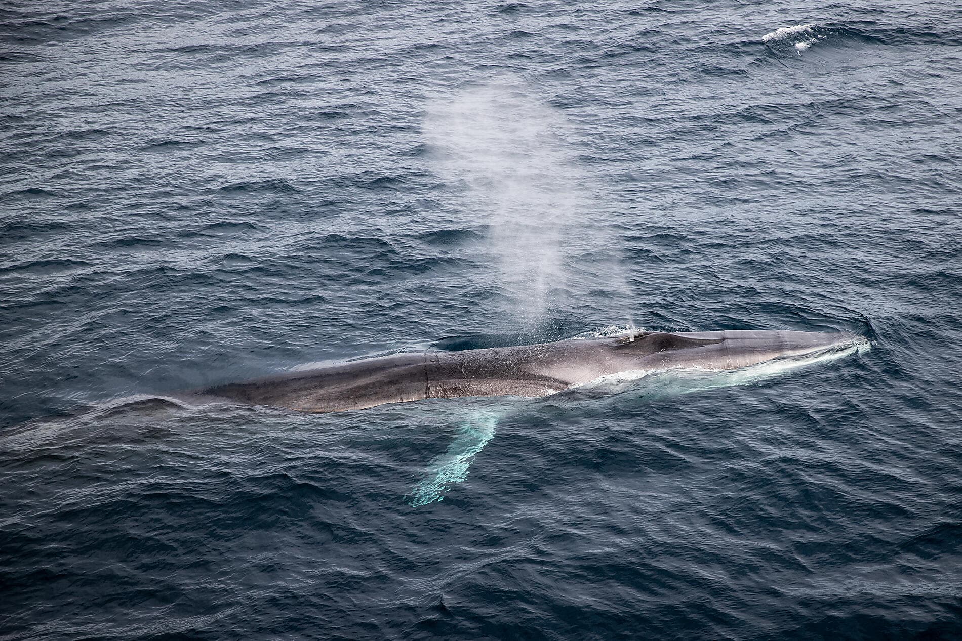 Frühling mit den Inuit von Ammassalik 