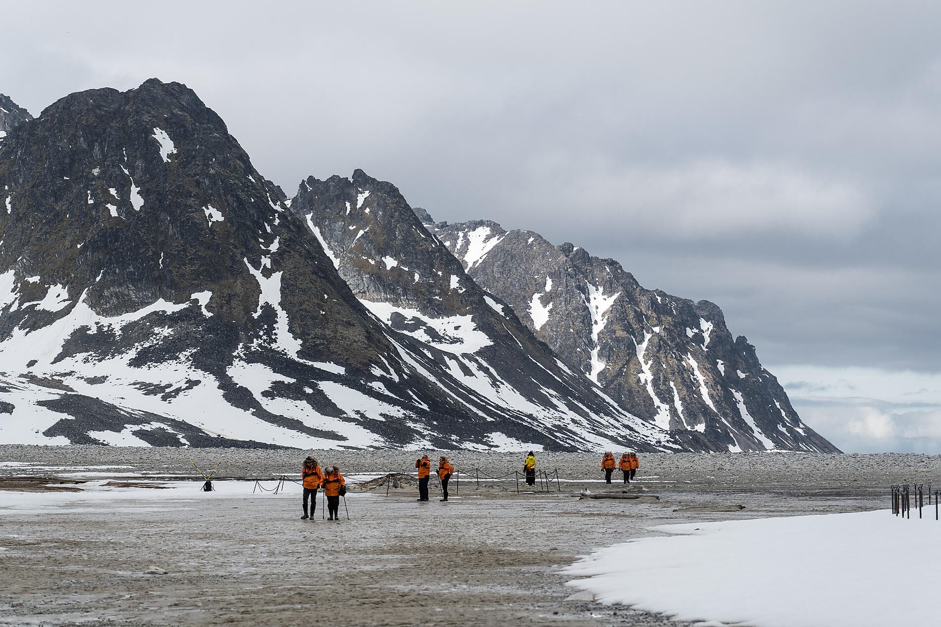 Im arktischen Eis von Grönland nach Spitzbergen 