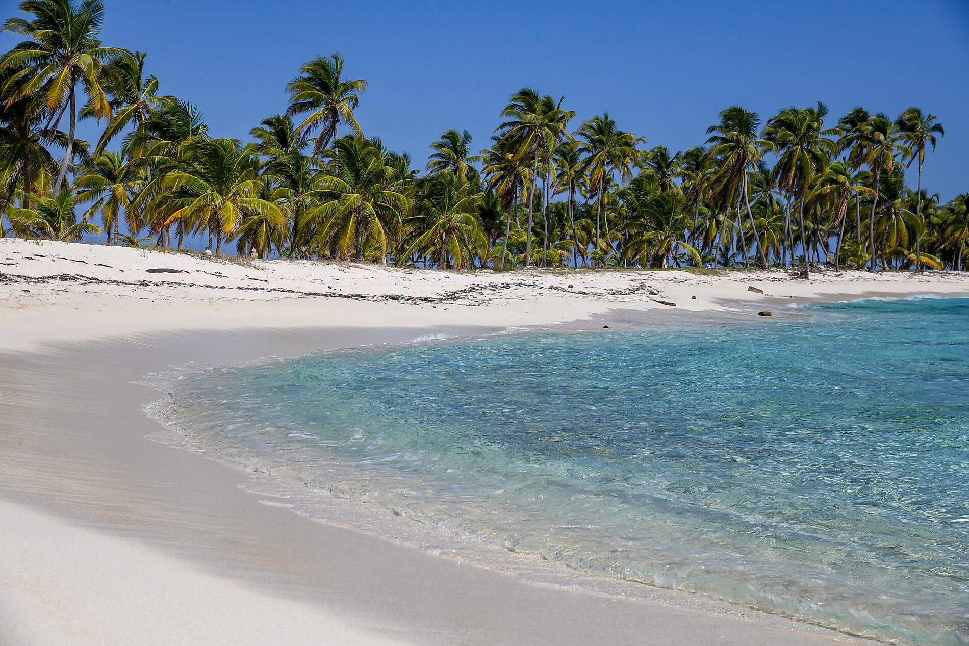 Naturschutzgebiete und Begegnungen in der Karibik