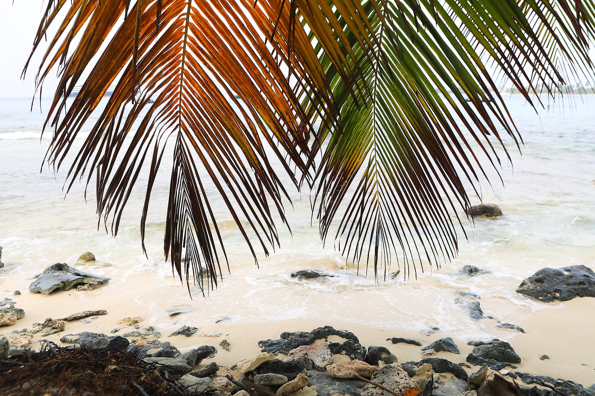 Von der wilden Schönheit Panamas zu den faszinierenden Ufern Perus 