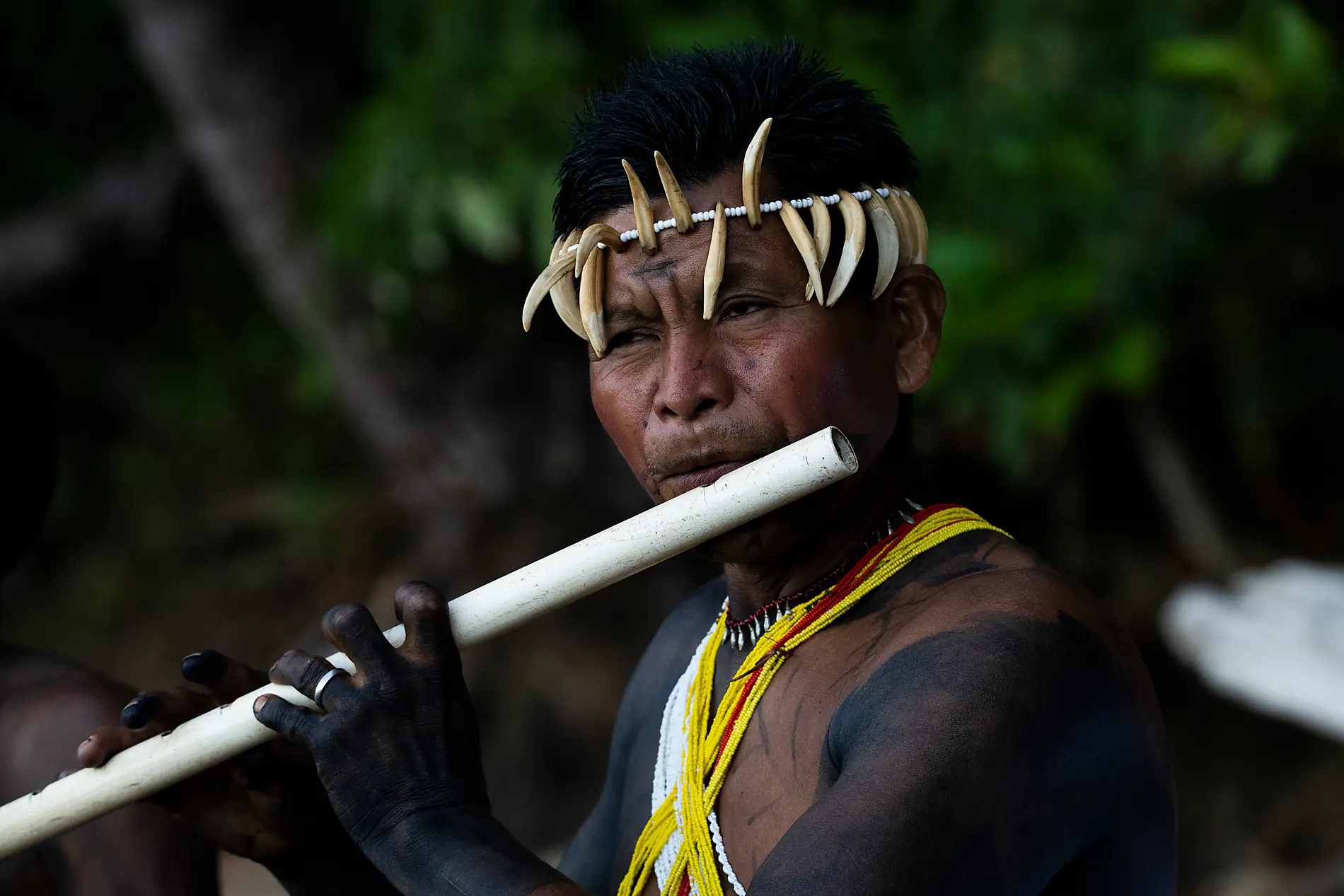 Von der wilden Schönheit Panamas zu den faszinierenden Ufern Perus 