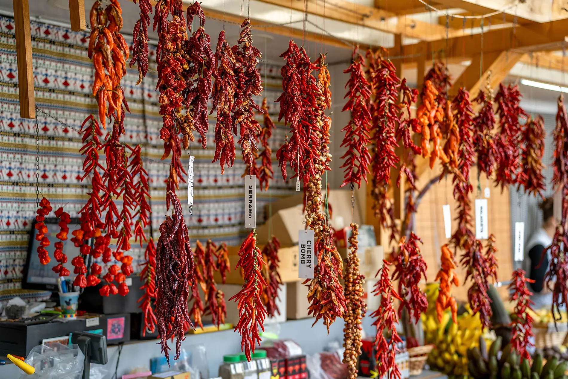 Madeira und die Azoren  