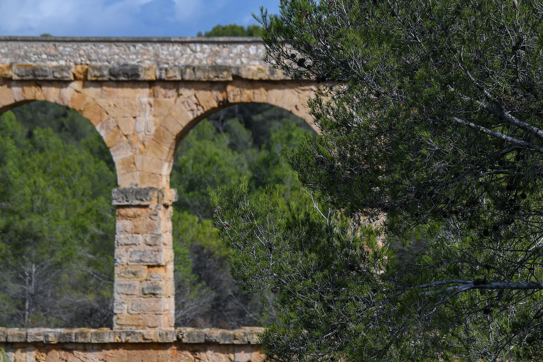 Schätze des Mittelmeers im Frühling 