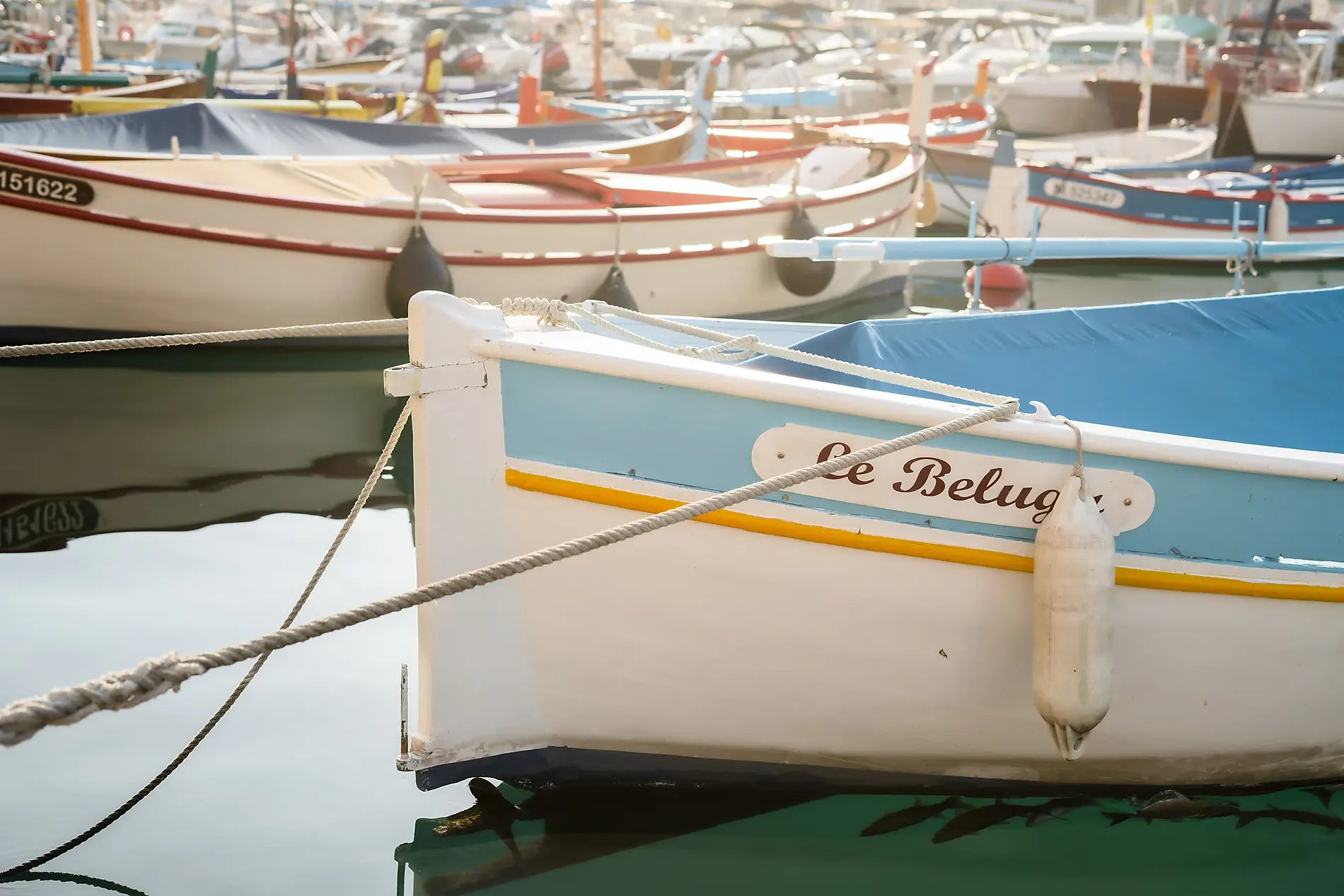 Korsika und iberische Küsten