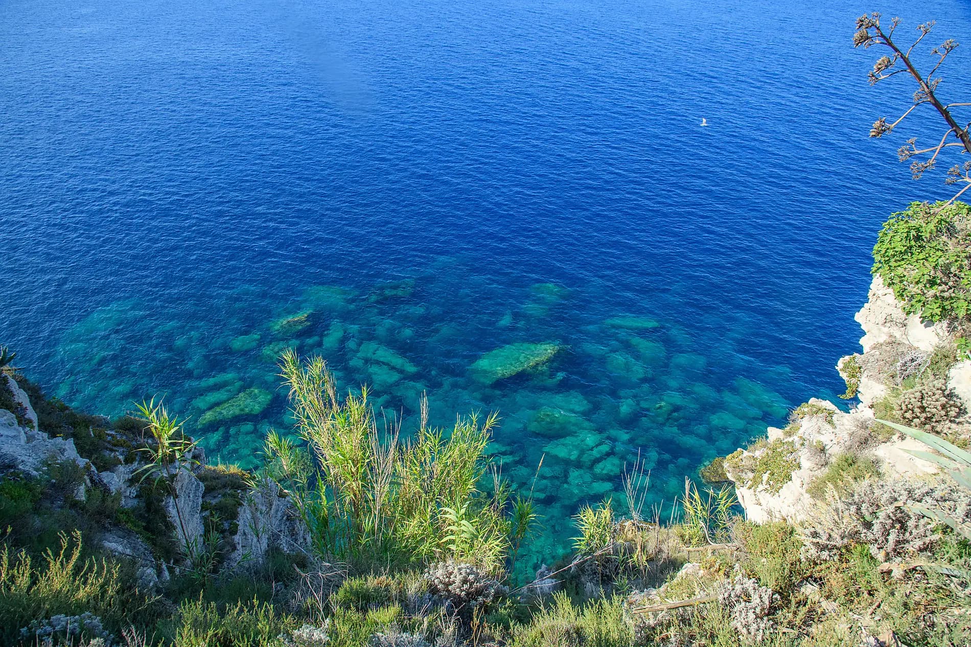 Korsika und iberische Küsten