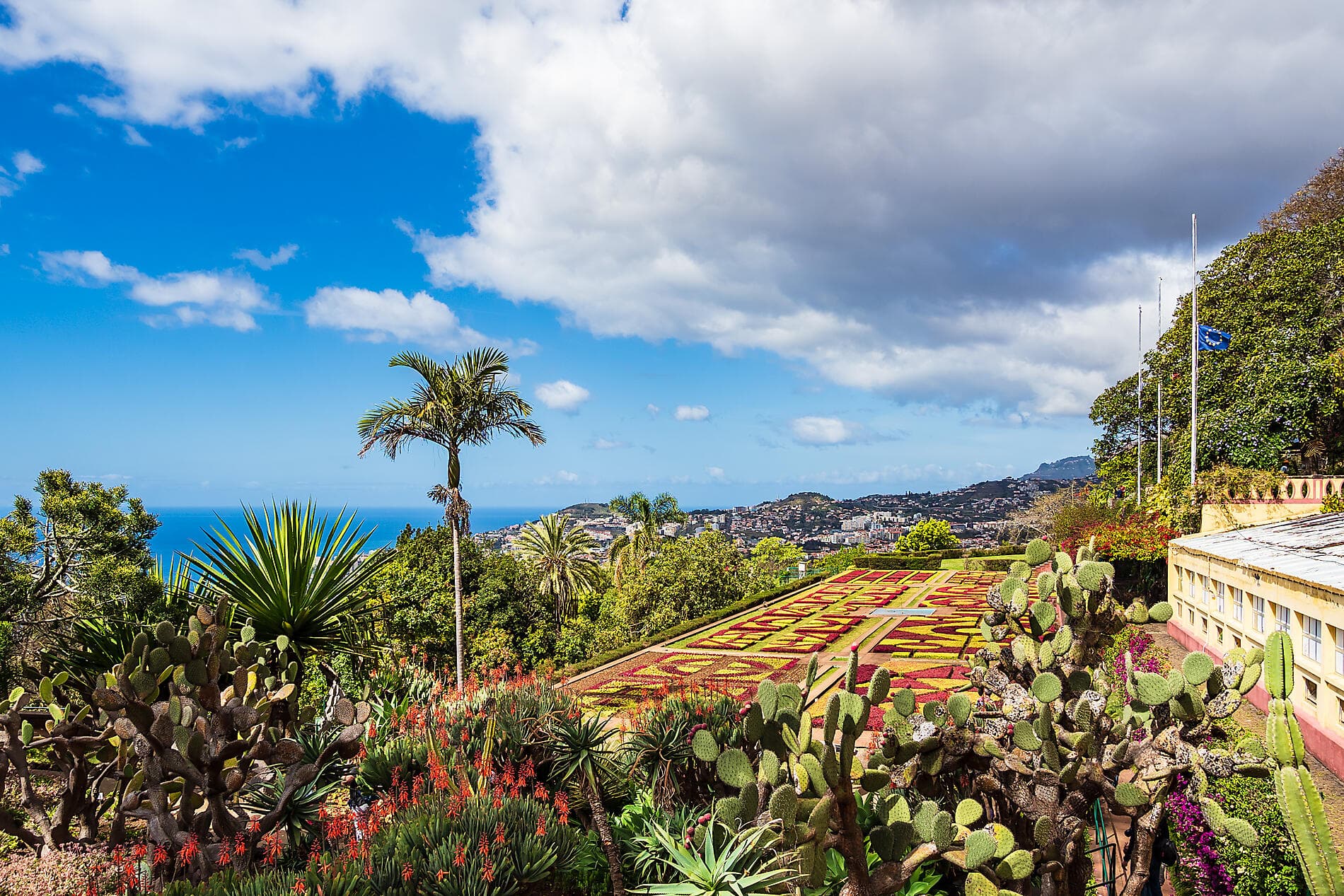 Madeira und die Azoren  