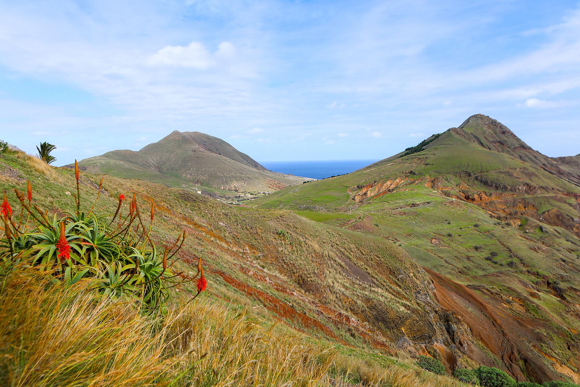 Madeira und die Azoren  