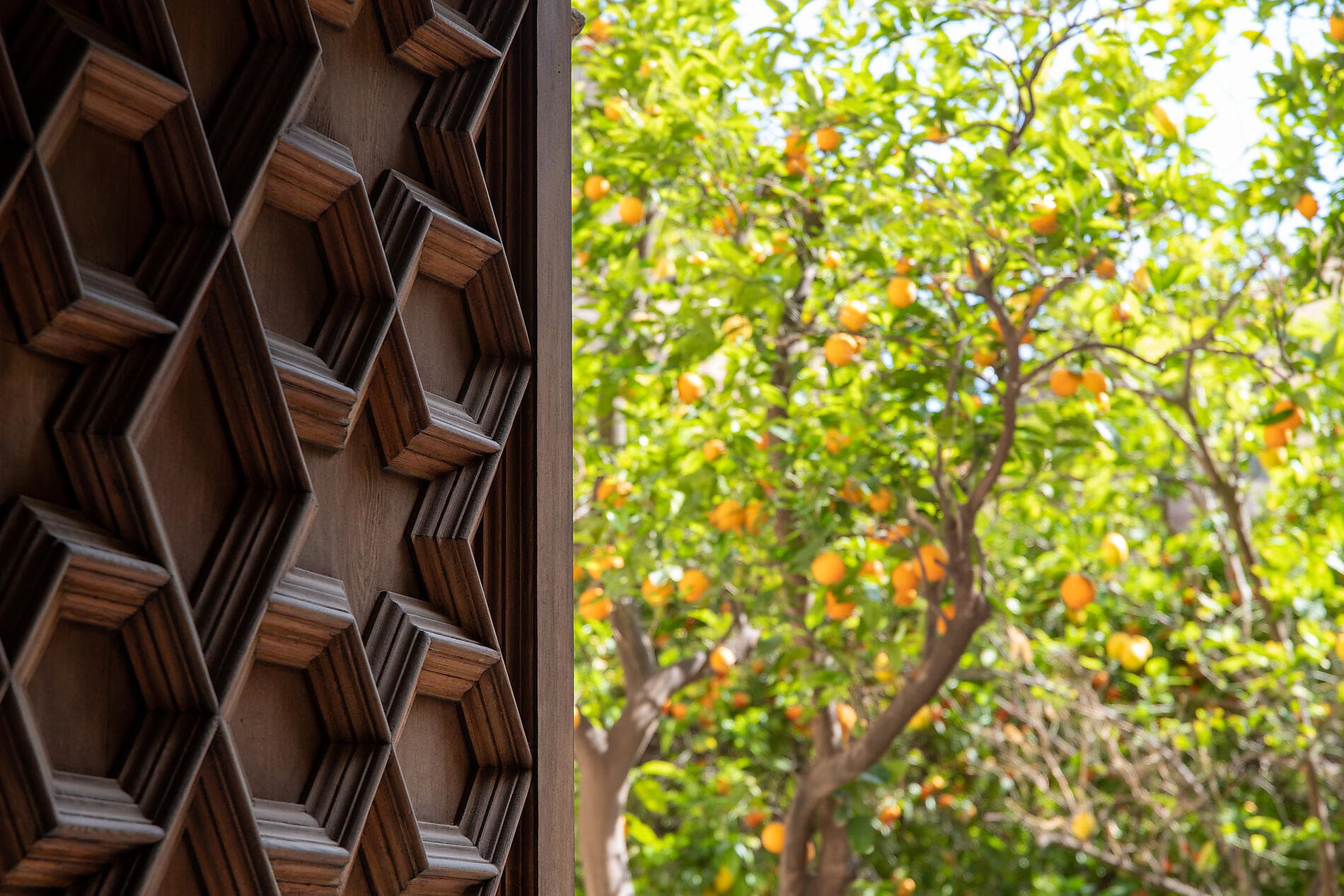 Schätze des westlichen Mittelmeers