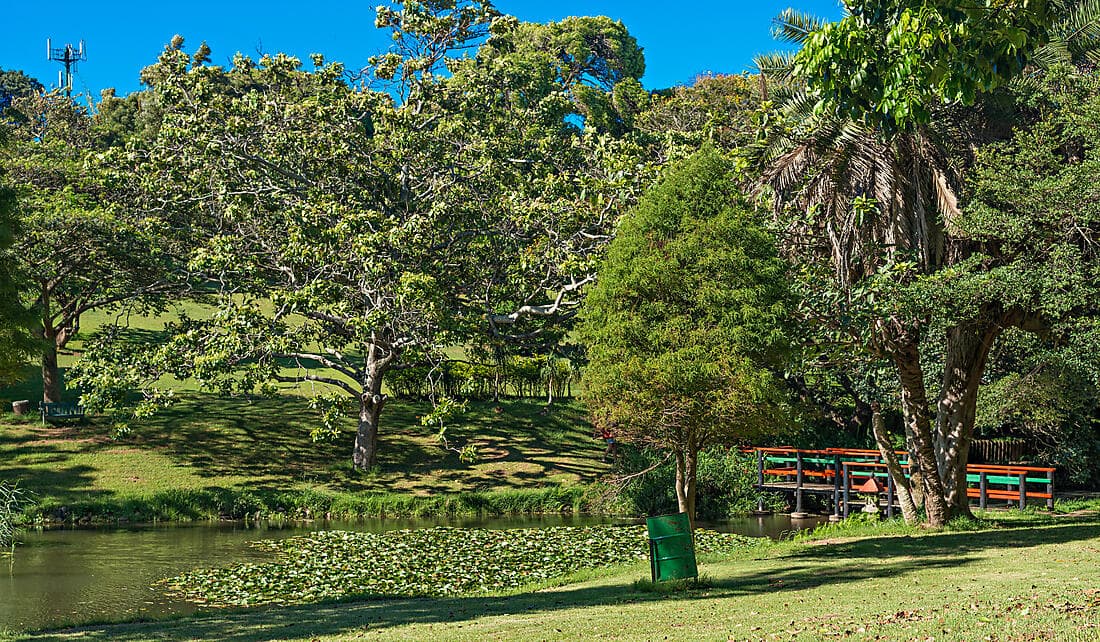 A Serene Escape in Durban: Culture, Nature and Ocean Views (1 night)