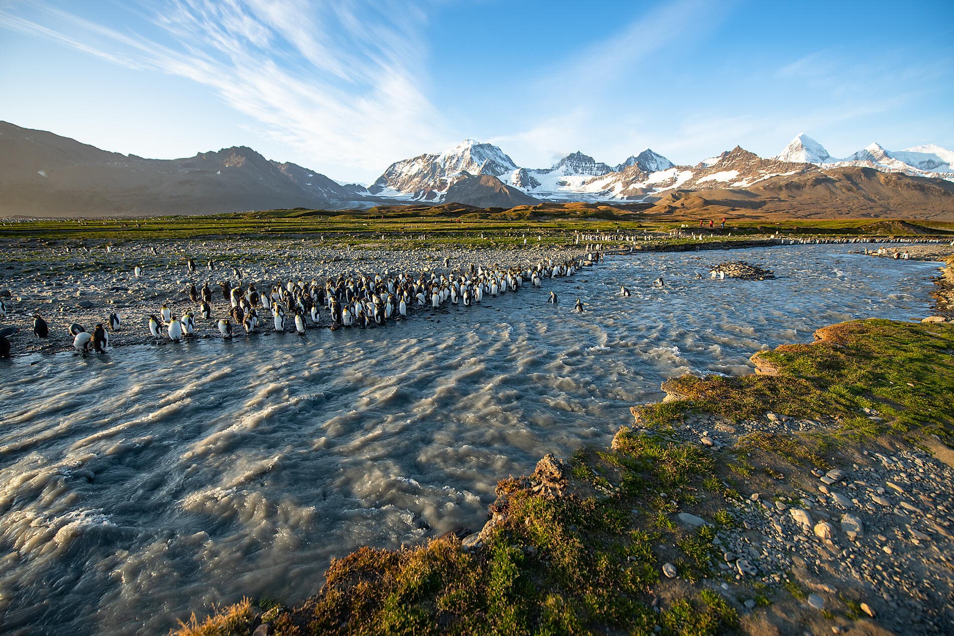 Antarktis, Falklandinseln und Südgeorgien