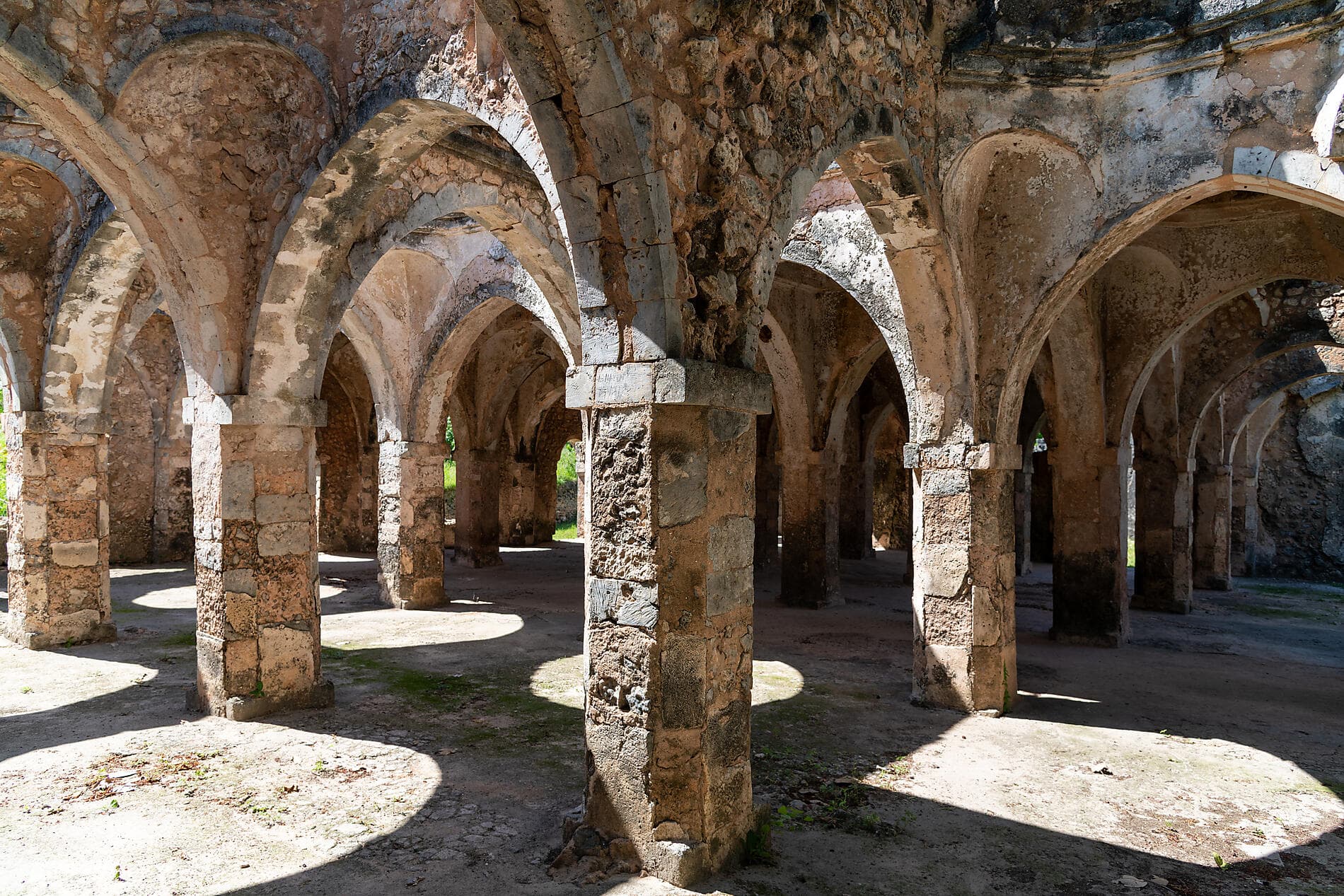 Sansibar, Aldabra und Schätze des Indischen Ozeans 