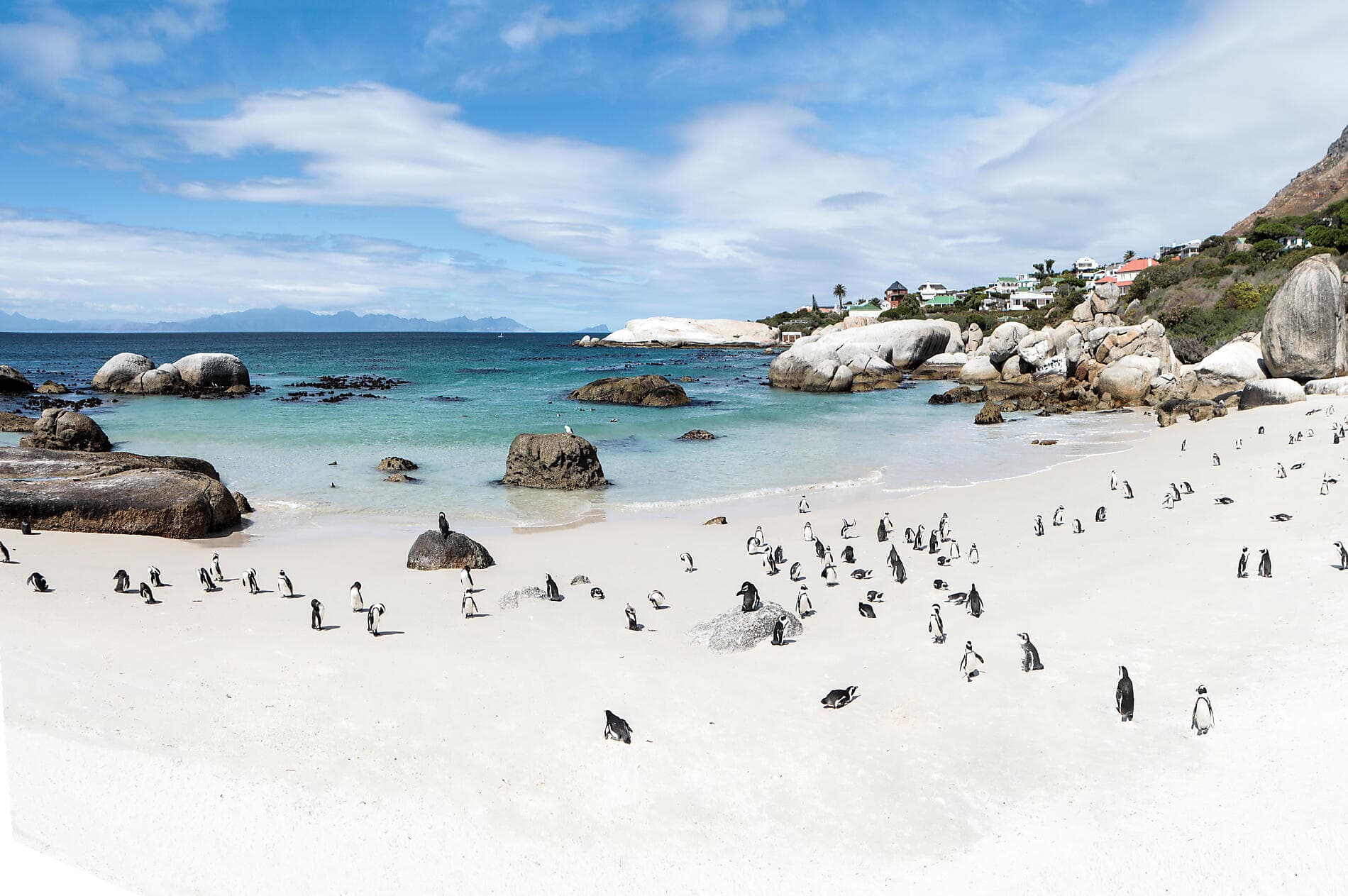 Südafrika und Namibia vom Meer aus: Rund um das Kap der Guten Hoffnung – mit Smithsonian Journeys 