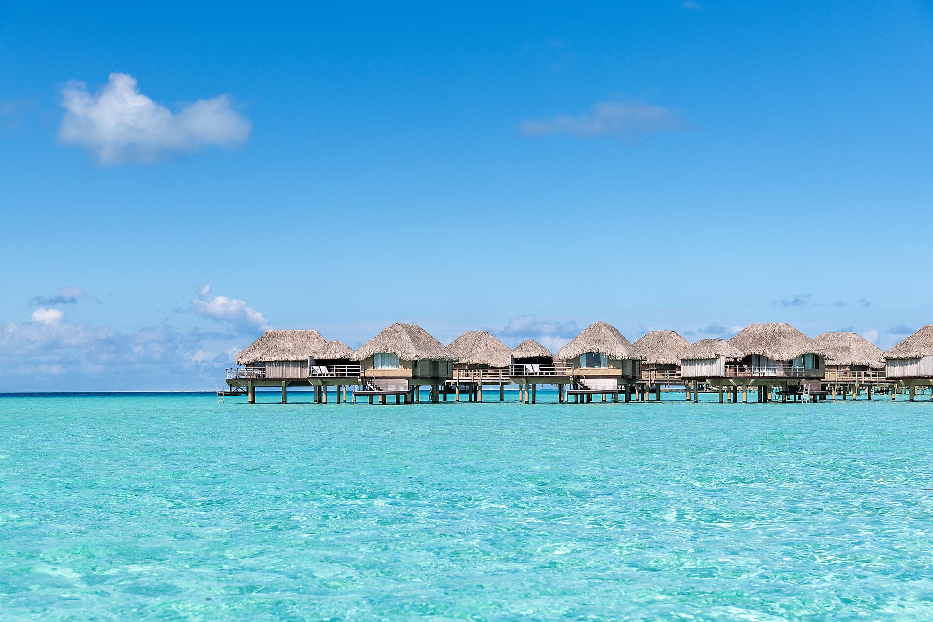 Perlen der Gesellschaftsinseln 